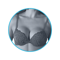 lmunderwear-category2-bra-cups-with-lace