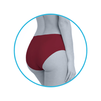 lmunderwear-category2-bordeaux-classic-panty