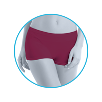 lmunderwear-category2-bordeaux-shorts-panties