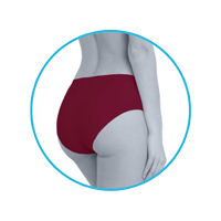 lmunderwear-category2-cardinal-classic-panty