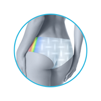 lmunderwear-category2-colorful-brazilian-panties