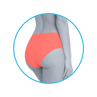 lmunderwear-category2-coral-classic-panty