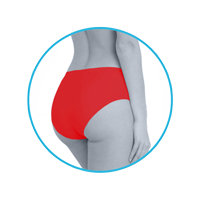 lmunderwear-category2-ferrari-classic-panty