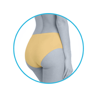 lmunderwear-category2-golden-classic-panty