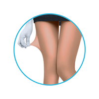 lmunderwear-category2-lion-tights-color