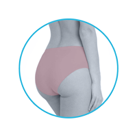 lmunderwear-category2-nougat-classic-panty